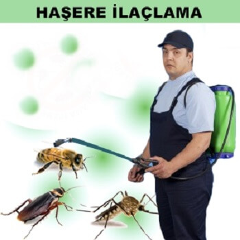 Kemalpaşa Böcek İlaçlama